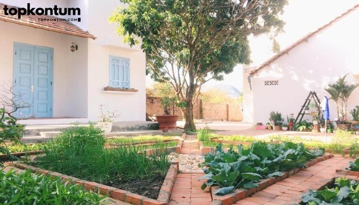 Homestay Vietnam phuot